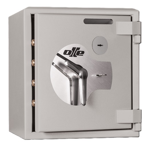 Caja Fuerte Profesional