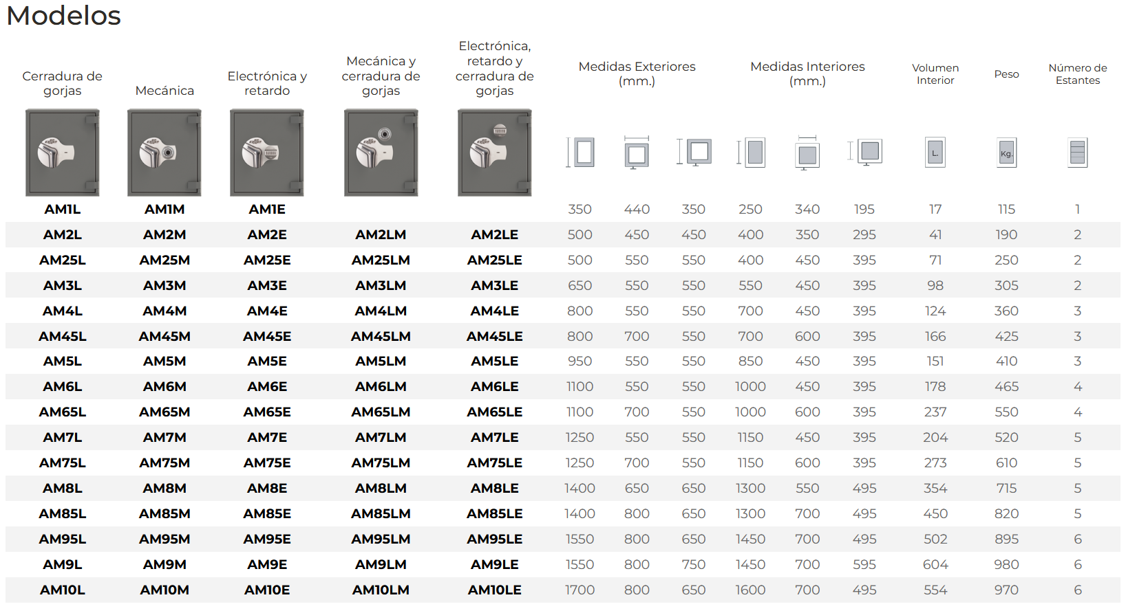 Caja Fuerte Profesional